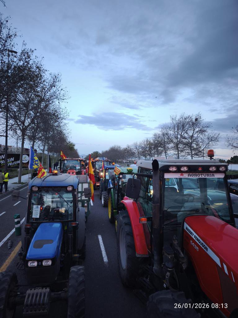 BDA11B71-D65E-416E-8FBF-FA7275413FFE