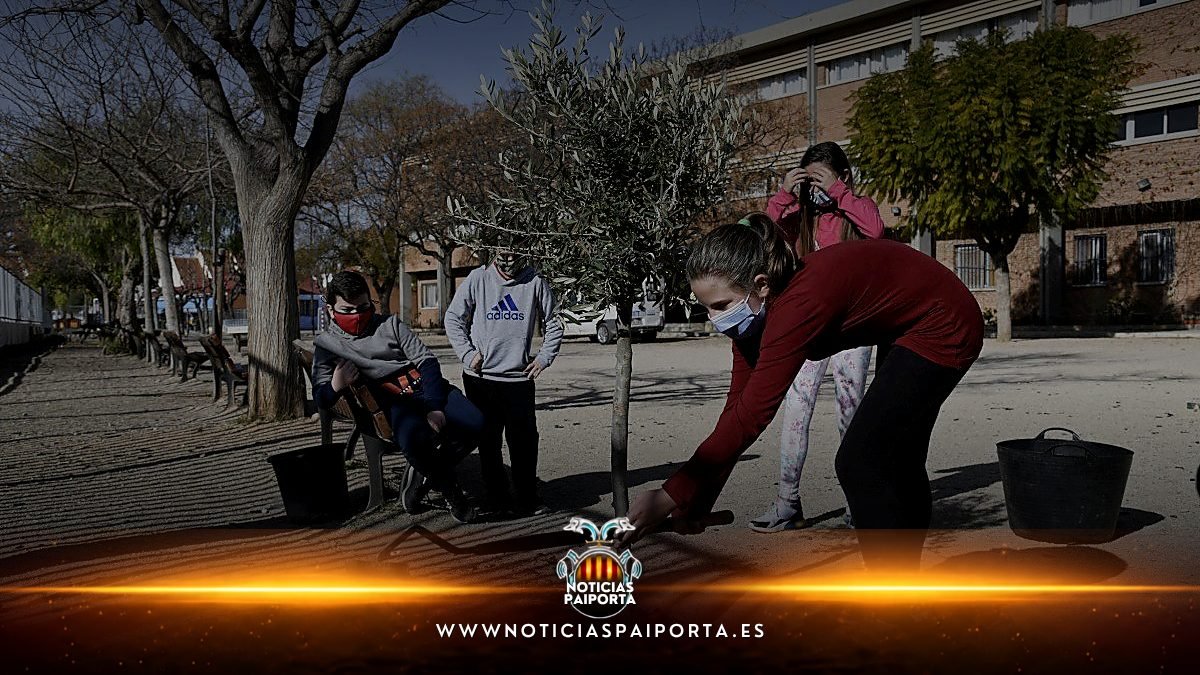 Revegetación de entornos escolares en Paiporta tras la DANA