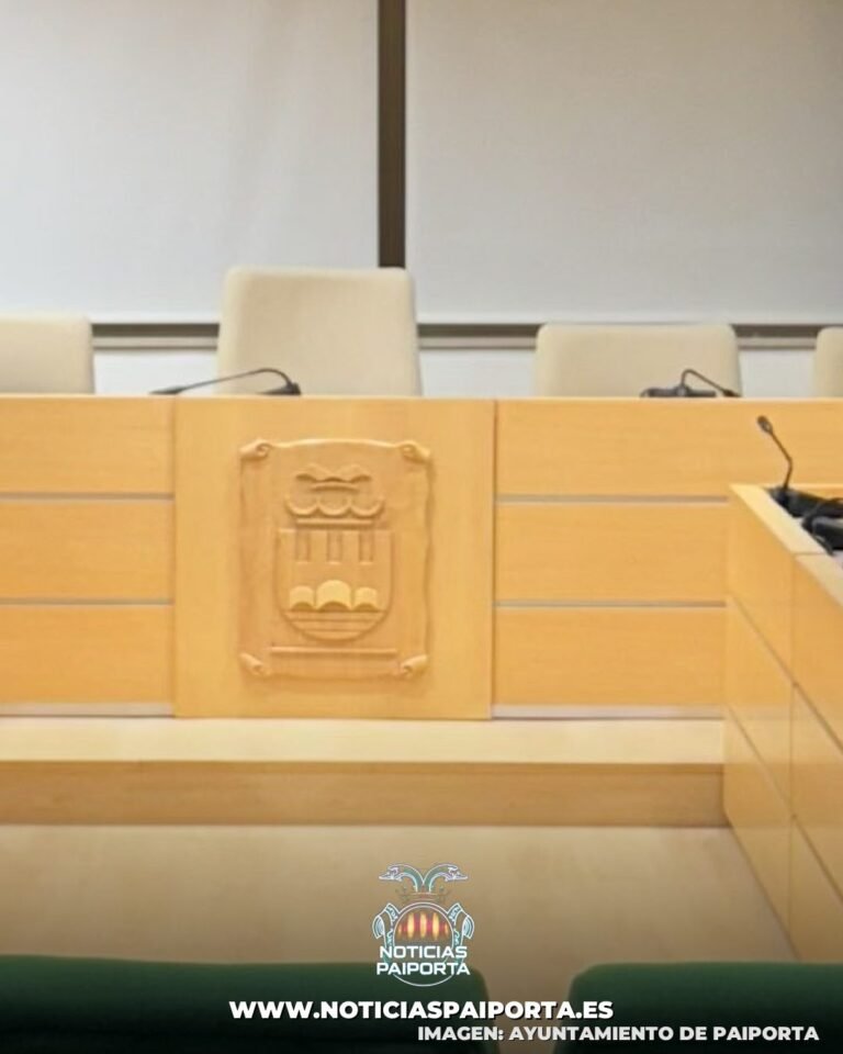 pleno-neurodiversidad-paiporta-opt